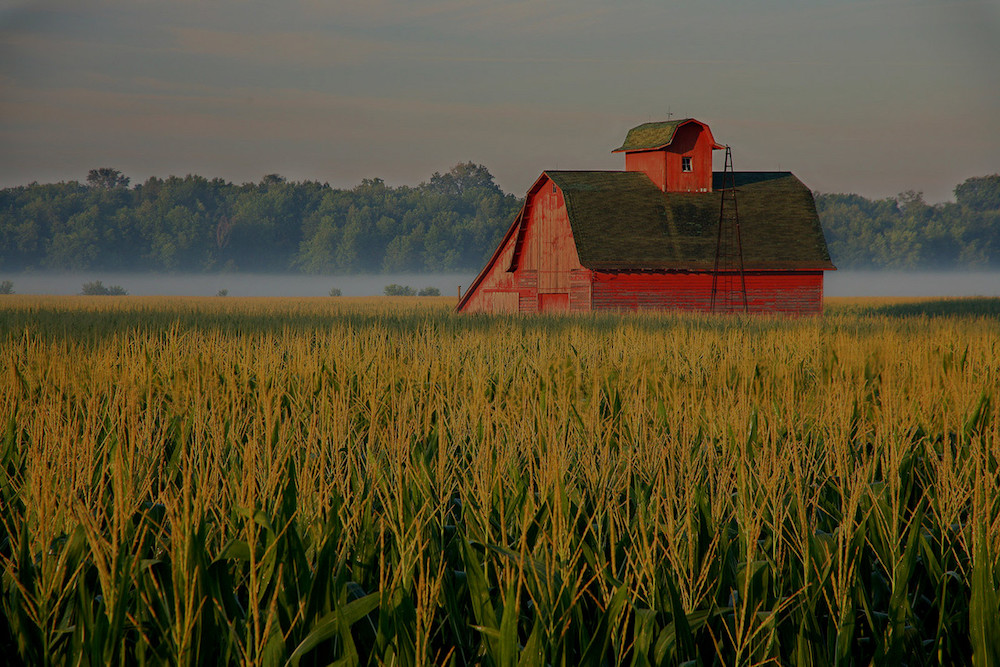 farm and crop insurance Honey Grove TX